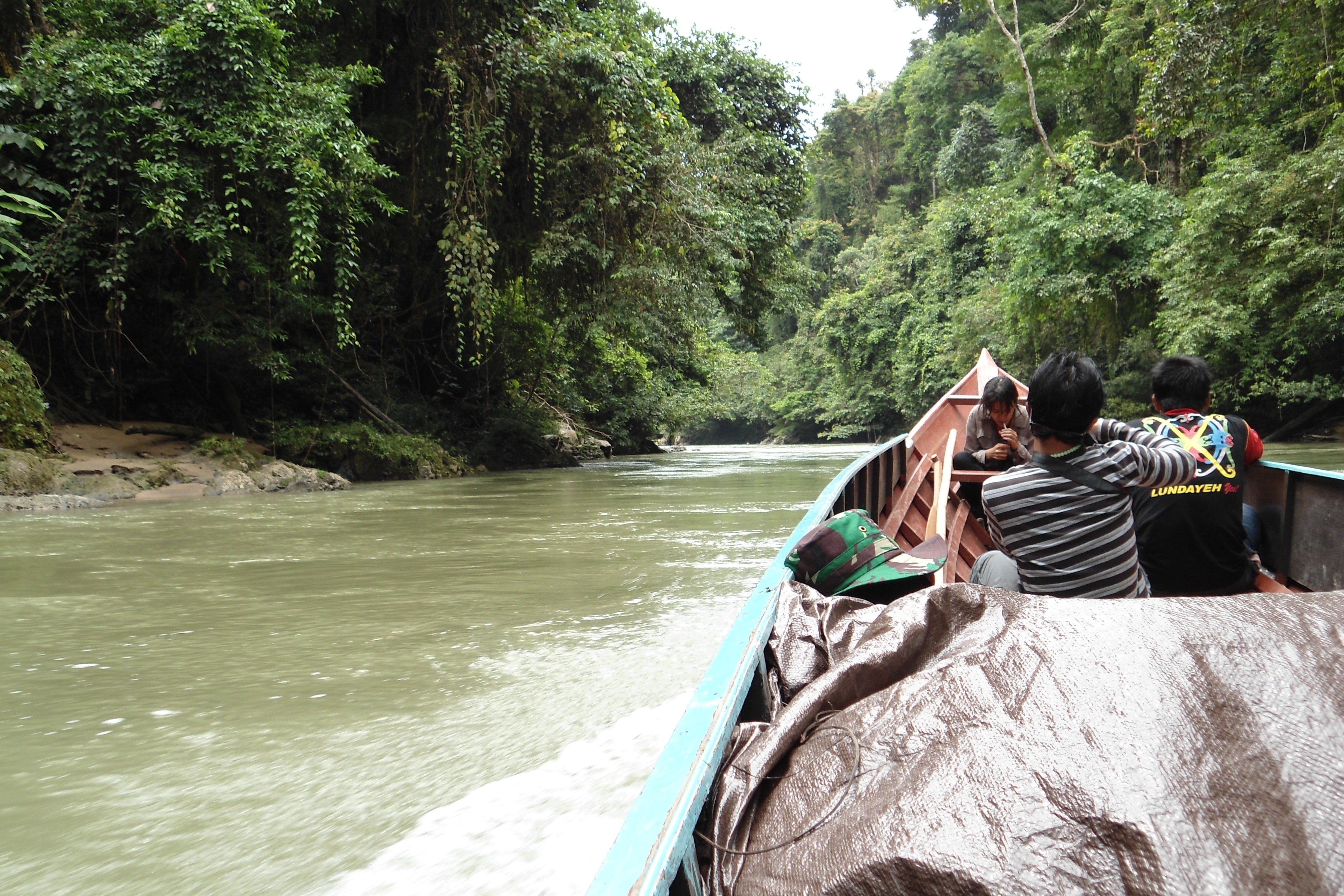 kayan mentarang jungle trek adventure borneo heart wildlife safari, tour, trip guide, cruise rain forest